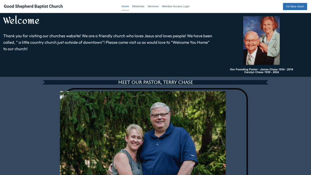 local business website design project example